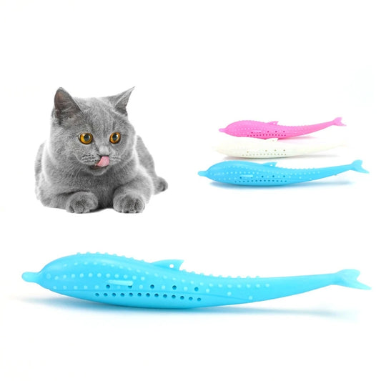 Jouet Chat Brosse à Dents Requin